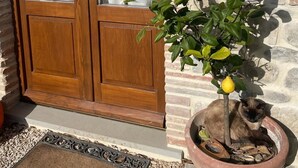 A wooden door with glass panels, a stone wall, a potted plant with a cat, and a doormat. - Cozy apartment: Your oasis of paradise in the countryside (Anghiari)