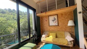 Smart TV, fireplace, books