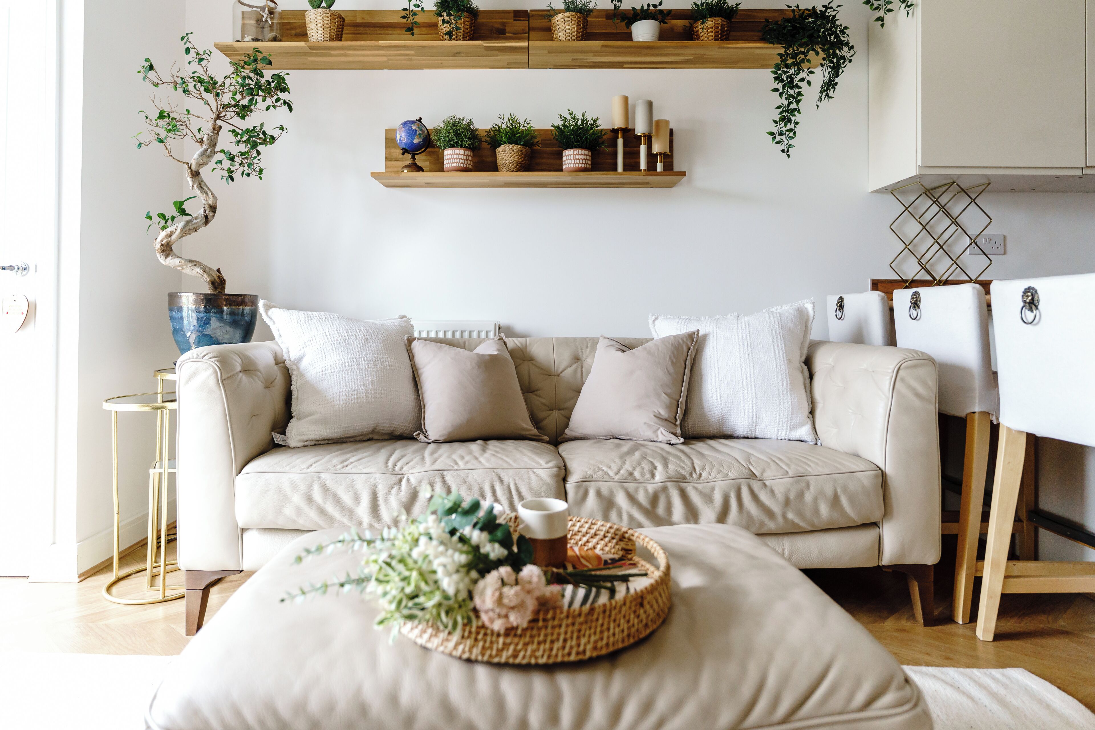 منطقة المعيشة