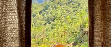 Comfort Room, Valley View | Outdoor dining