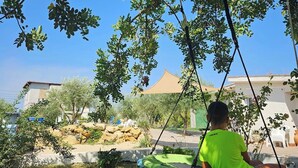 Una persona sentada en un columpio debajo de un árbol.