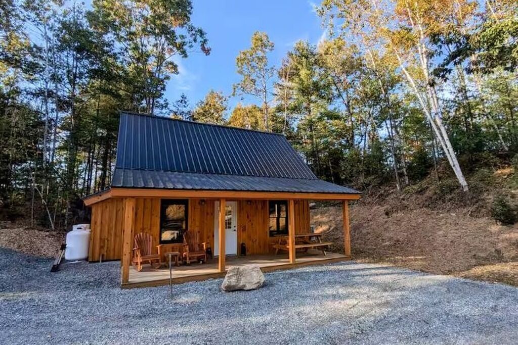 A wooden cabin with a metal roof, surrounded by trees.