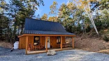 A wooden cabin with a metal roof, surrounded by trees.