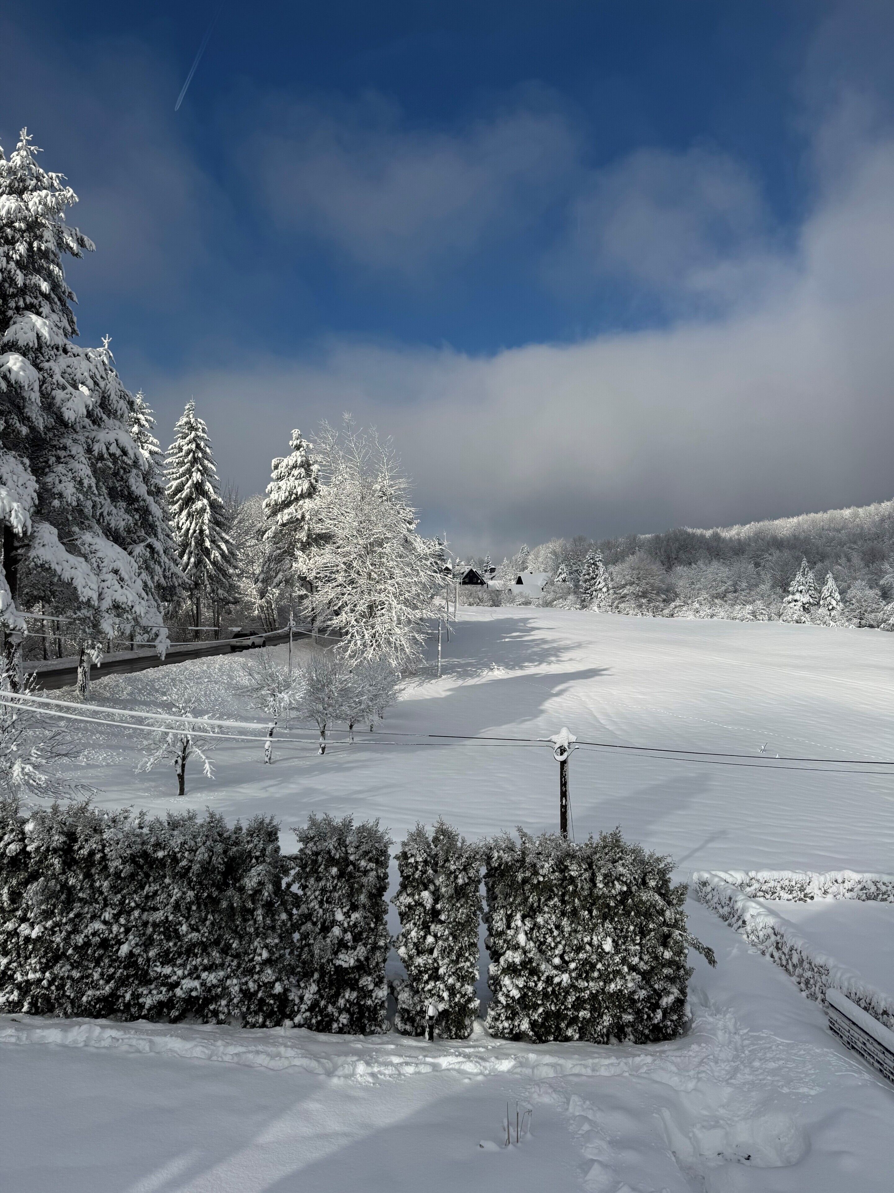Un paysage enneigé, avec des arbres et un ciel dégagé.
