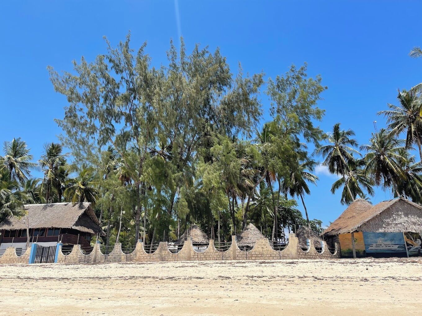Ein Strand mit strohgedeckten Hütten, Palmen und blauem Himmel.