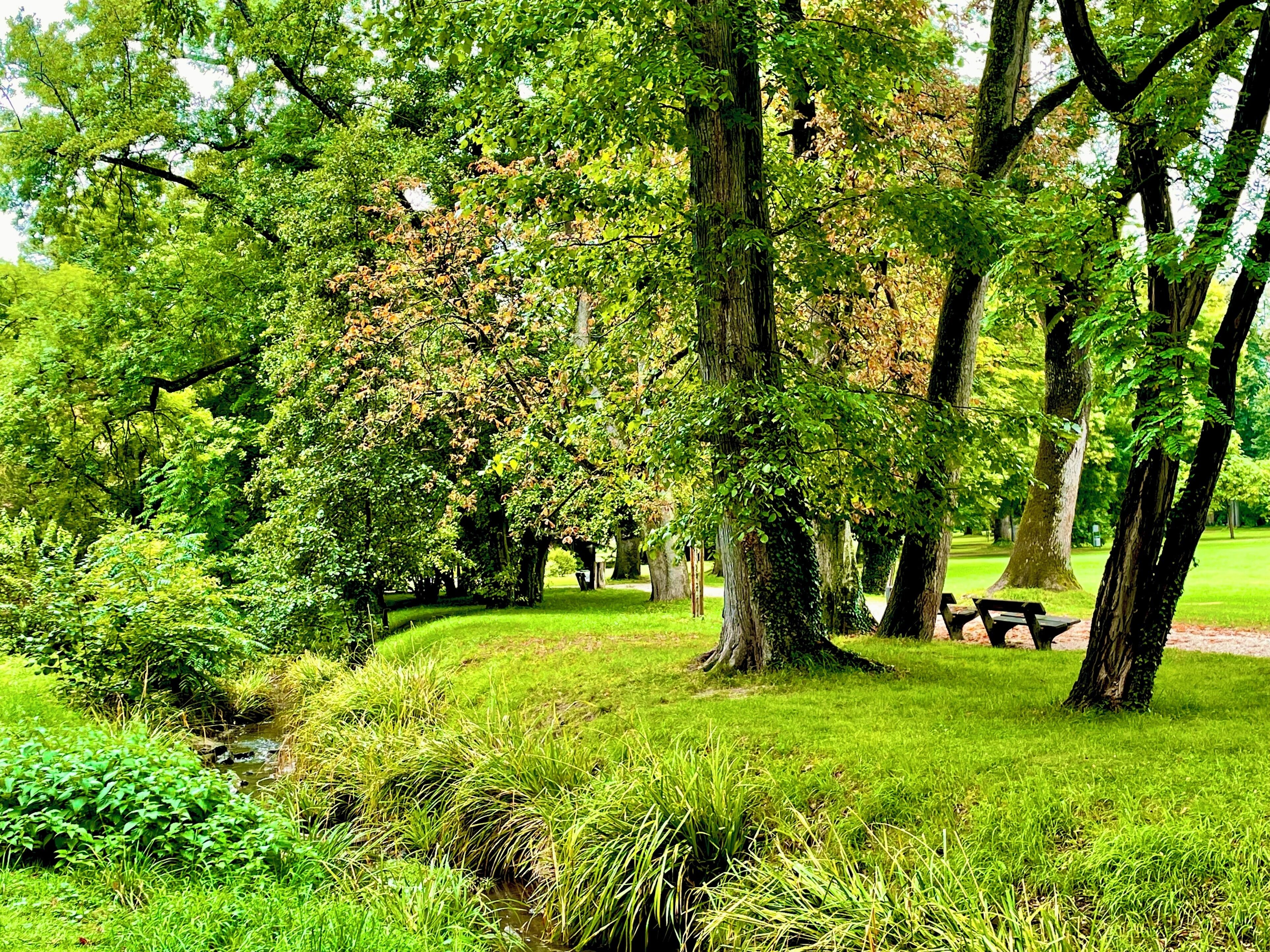 A park with trees, grass, a small stream, and a picnic table.
