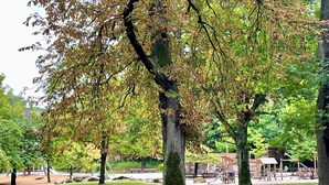 A park with trees, a playground, and a building with a roof.