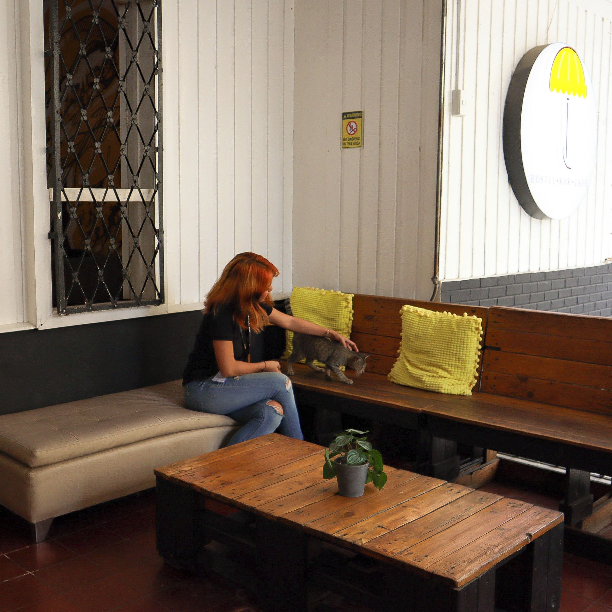 Una mujer sentada en un banco con un gato, una mesa de madera con una planta y un reloj de pared.