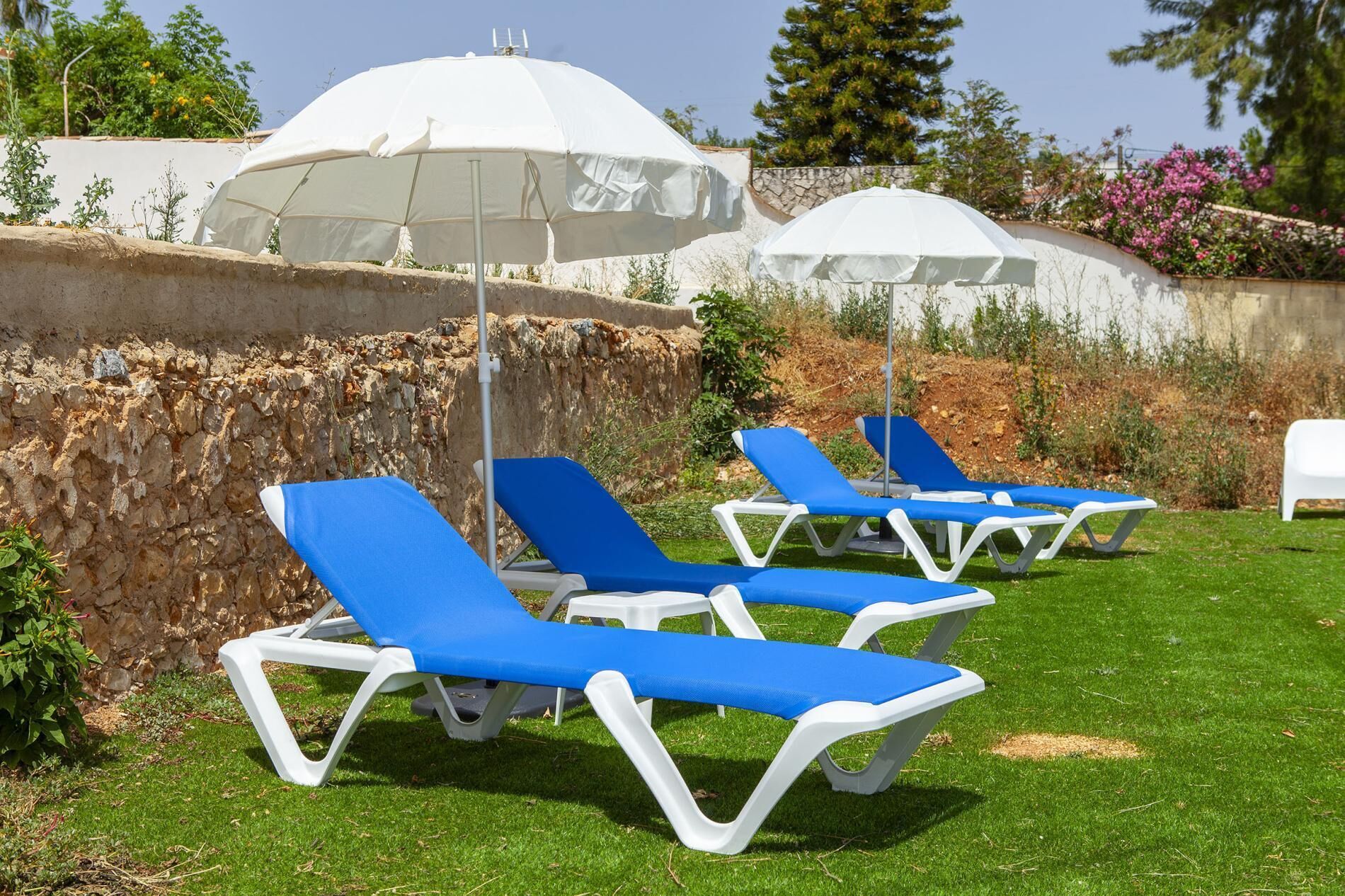 Outdoor lounge chairs with white frames and blue cushions, arranged on a grassy area with white umbrellas in the background.