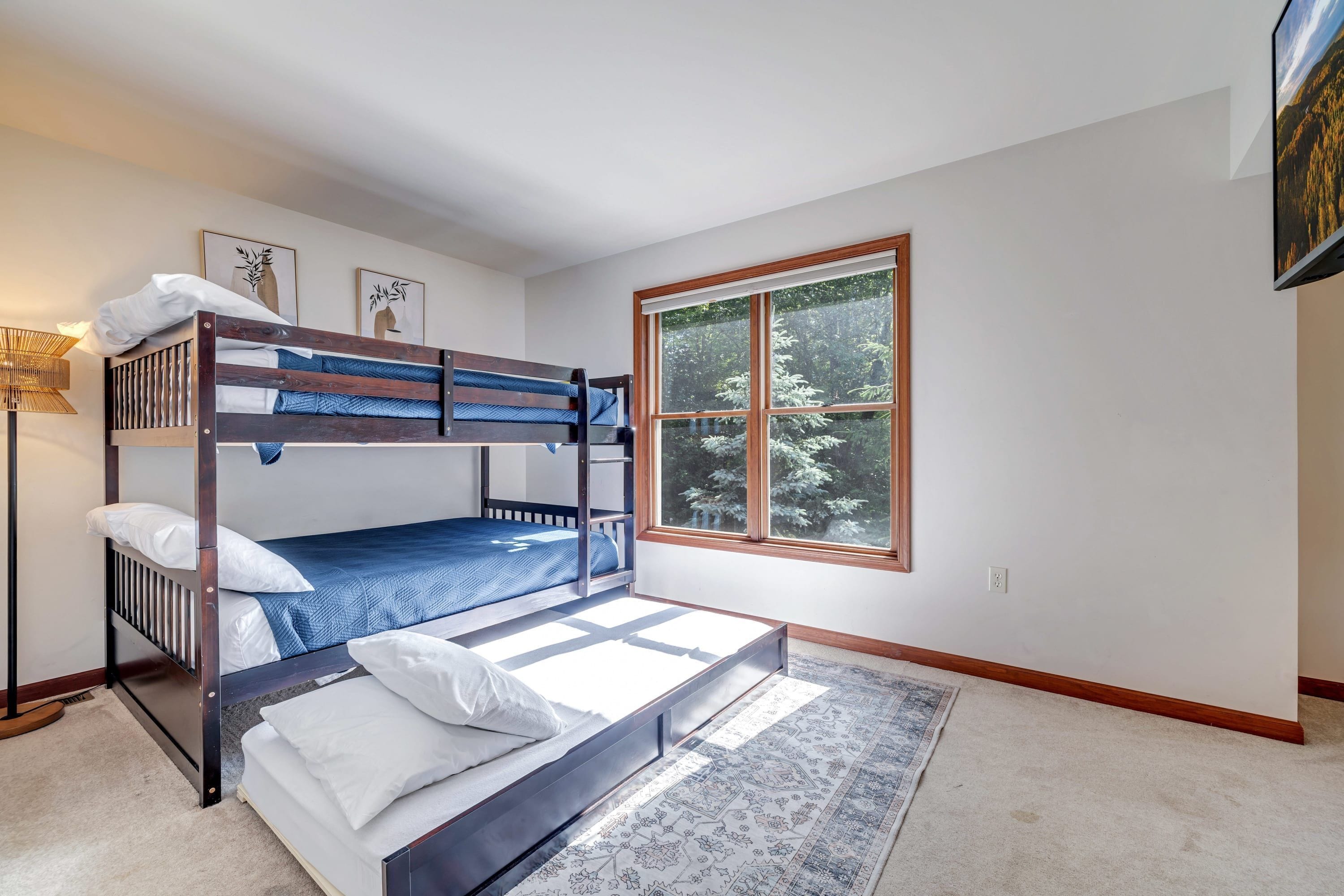 Dormitorio con literas, ventana, lámpara y alfombra.
