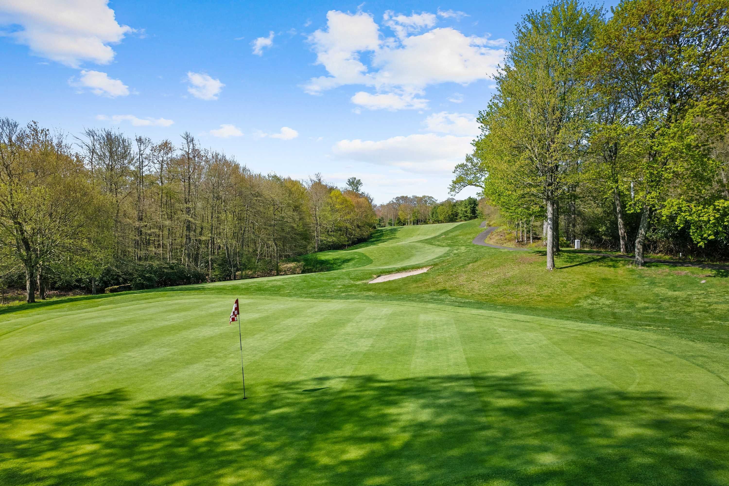 Golfkenttä, jossa on lipunvarsi, puita ja kirkas taivas.