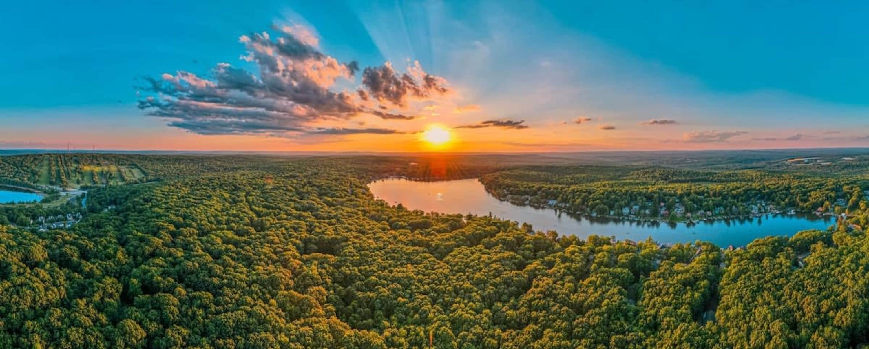 A landscape with a body of water surrounded by dense forest.