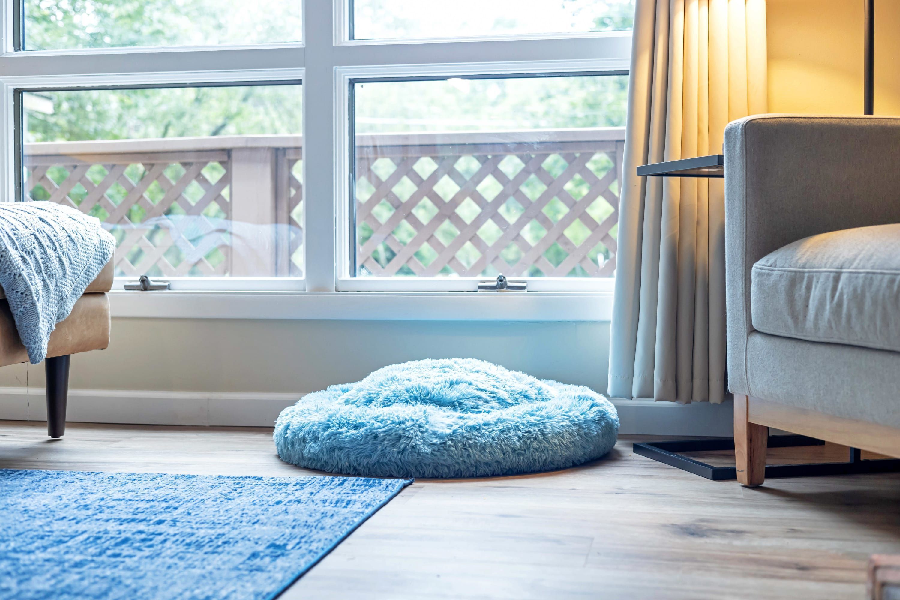 A room with a window, a blue pet bed, a beige sofa, and a wooden floor.