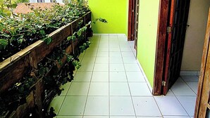 Un pasillo con piso de baldosas, una cerca de madera con vegetación, una pared verde y una puerta.