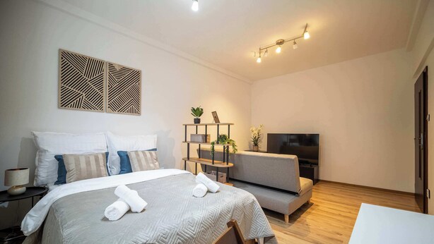 A modern hotel room with a large bed, a sofa, a TV, and a small table with plants.