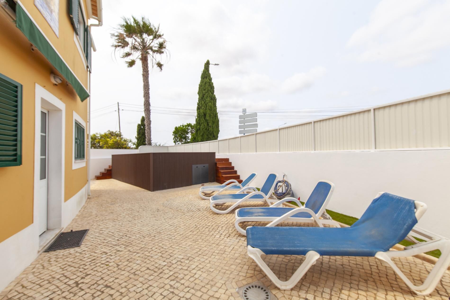 Una terraza en la azotea con sillones de descanso, una palmera y un alto pino.