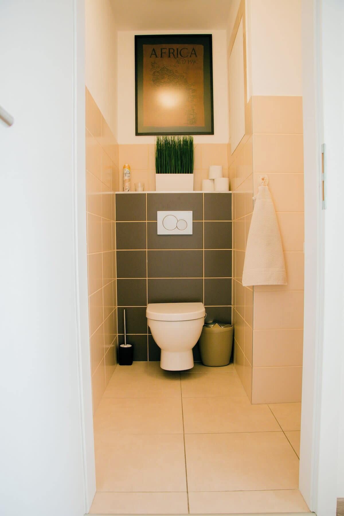 Shower, hair dryer, shampoo