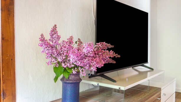 Ein Flachbildfernseher auf einem Glastisch mit einer Blumenvase daneben.