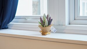 Un alféizar con una planta pequeña en una cesta.