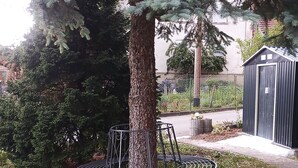 Ein Tisch mit Stühlen aus Metall unter einem Baum in einer grünen Umgebung, im Hintergrund eine Schuppen.