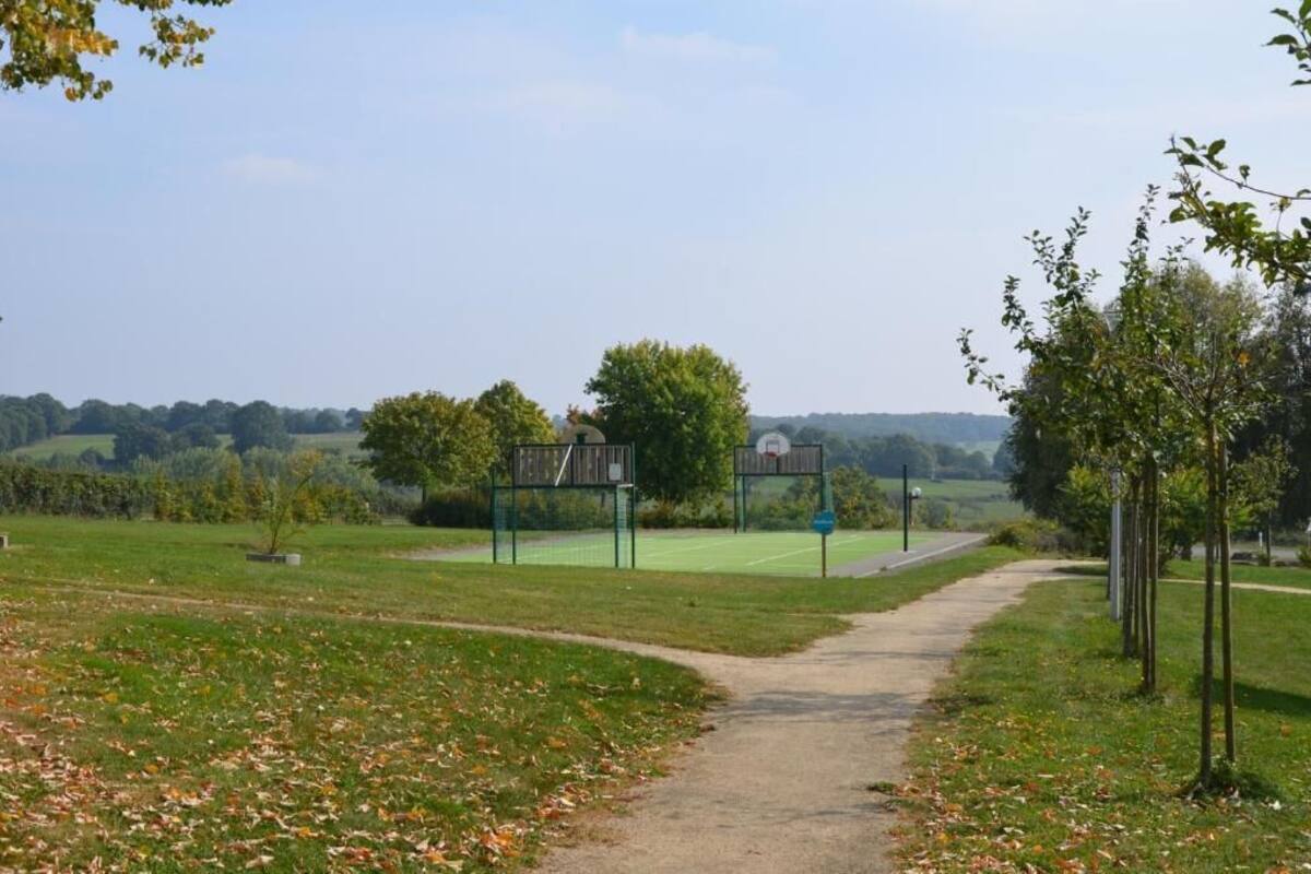 A pathway leading to a sports court with a basketball hoop, surrounded by greenery and trees.