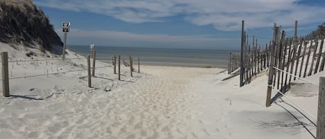 Playa