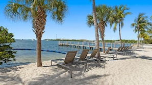 A beach with palm trees, clear blue sky, and a pier extending into the water. - Pool View Suite | Beachside Resort (Key West)