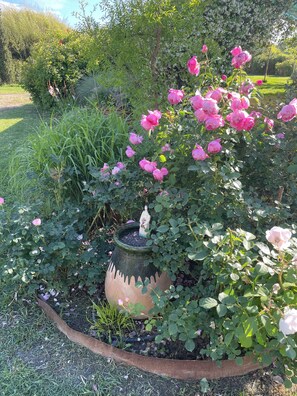 Ein Garten mit rosa Rosen, einem Zierteich und einer Statue.
