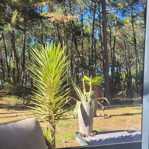 Property grounds - Apartment with a sunroom, sleeps 6, 150 meters from the ocean and downtown, heated pool (Les Mathes)