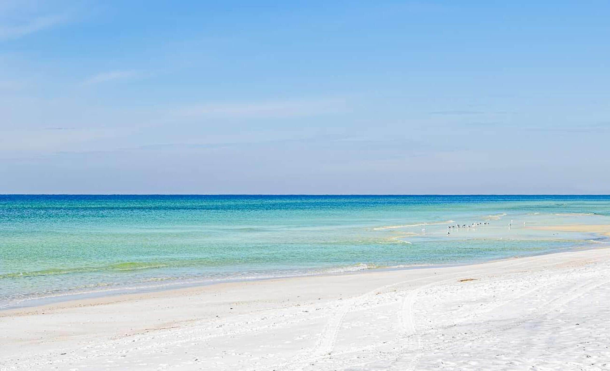 Apartment, 1 King-Bett und Schlafsofa (Carillon Beach Inn 310) | Strand