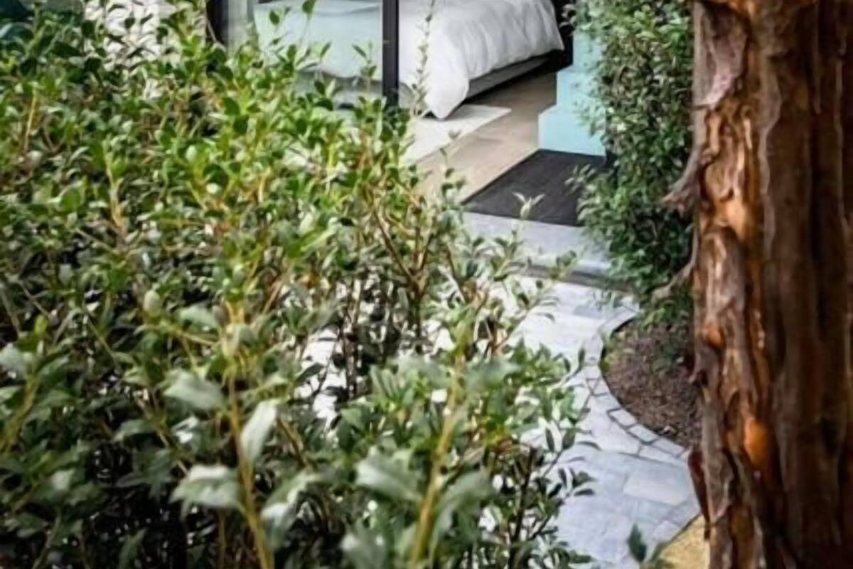 A bedroom with a bed, a window, and a tree outside.