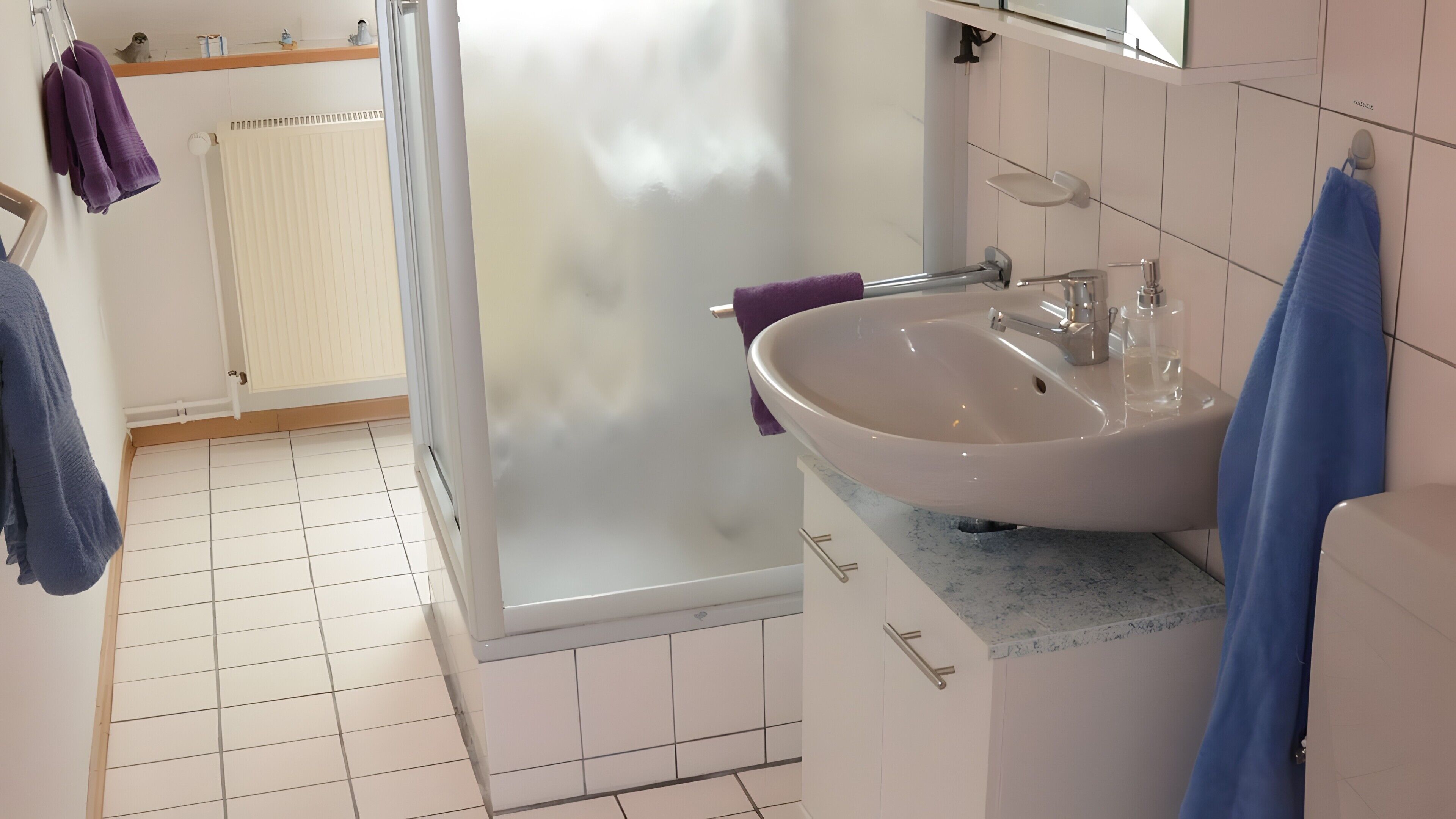 Dusche, Haartrockner, Handtücher