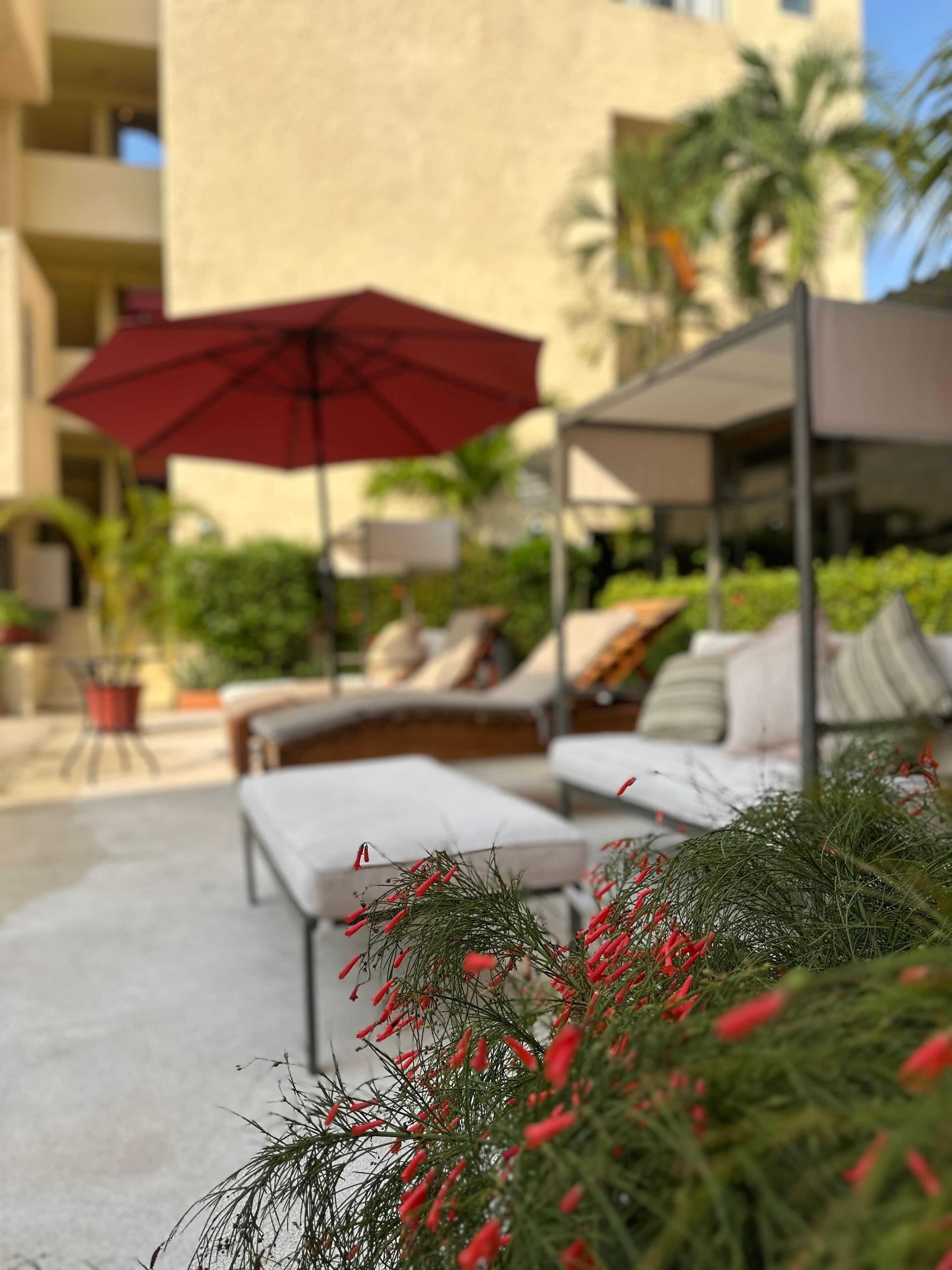 Terrasse/gårdhave