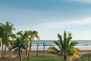 A beach with palm trees and the ocean.