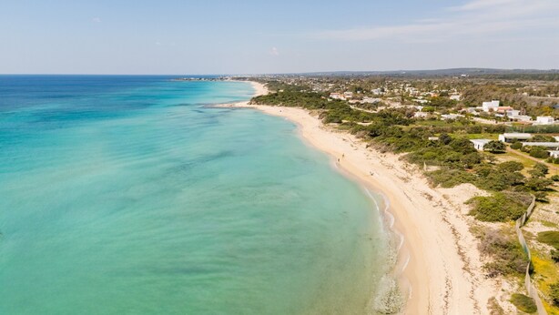 Una vista aerea di una zona costiera con spiaggia sabbiosa, acque cristalline turchesi e un'area residenziale con case e vegetazione.
