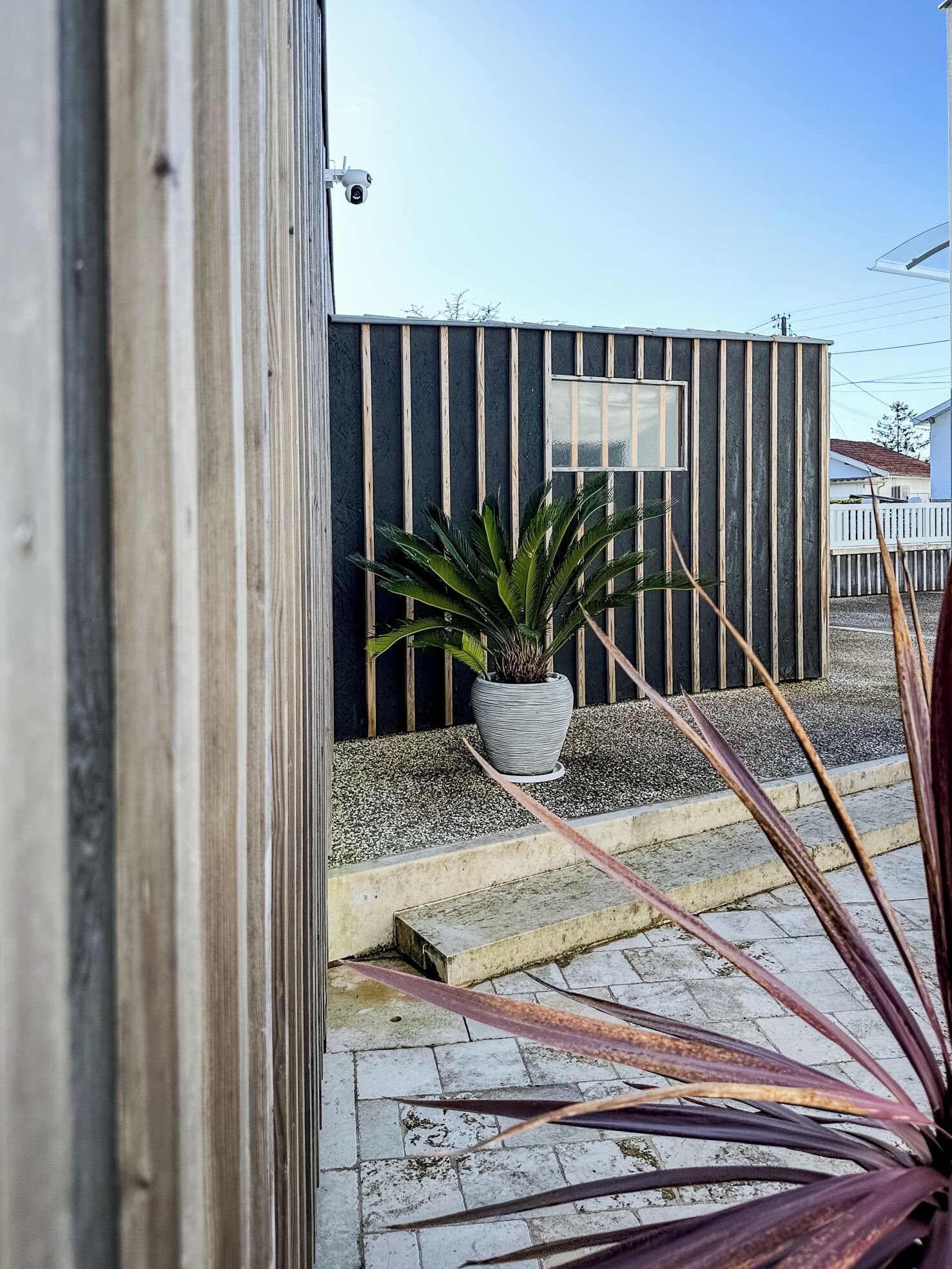 Un edificio con revestimiento de madera vertical, una planta en maceta y una ventana.