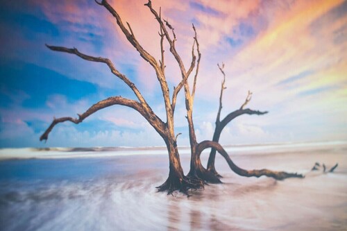 2-Bed Apt • Kitchen • Parking • Ground Floor