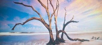 2-Bed Apt • Kitchen • Parking • Ground Floor