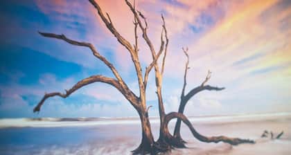 2-Bed Apt âą Kitchen âą Parking âą Ground Floor