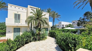A modern building with a paved pathway, surrounded by lush greenery and palm trees.