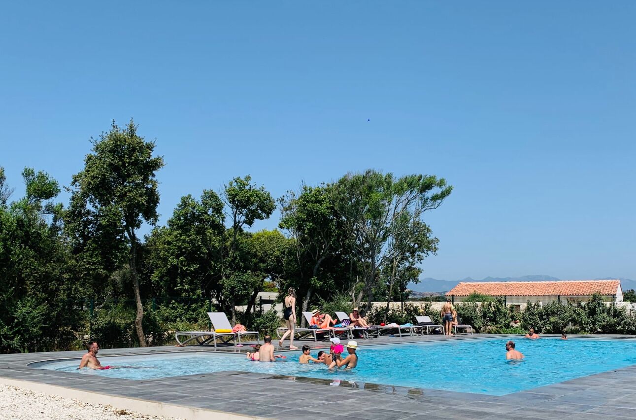 A swimming pool with people, lounge chairs, and trees in the background.