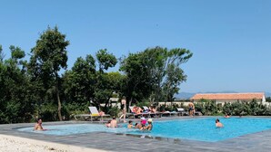 En swimmingpool med folk i, solstolar och träd i bakgrunden.