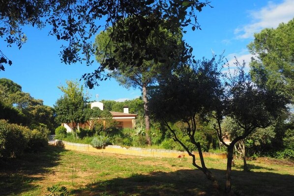 Property grounds - Vrbo Property (Cordoba)