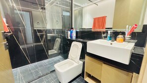 Secador de cabelo, toalhas de banho, sabonete, papel higiênico