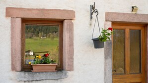 Una ventana con vistas a un paisaje verde, una puerta de madera y una maceta colgante.
