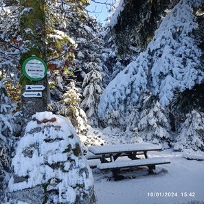 Property grounds - Gîte “Jonquille - La Petite Meuthe” with Mountain View, Private Garden & Wi-Fi (Ban-sur-Meurthe-Clefcy)