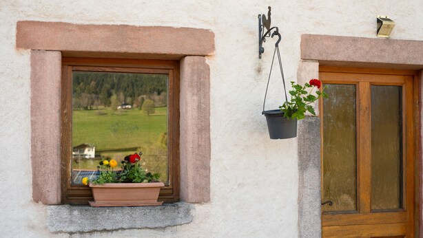 Ett fönster med utsikt över ett grönskande landskap, en trädörr och en hängande blomkruka.