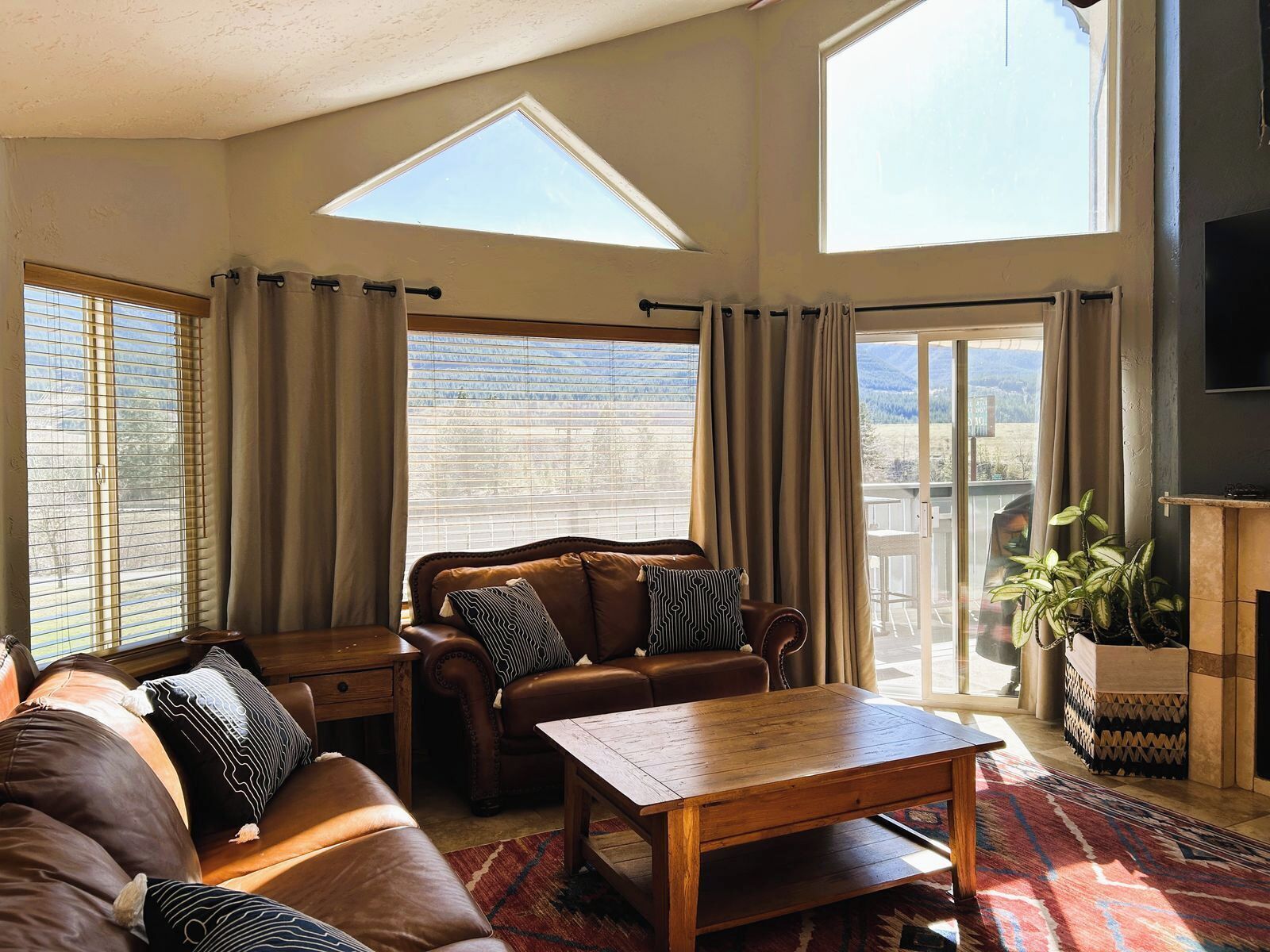TV, fireplace, books