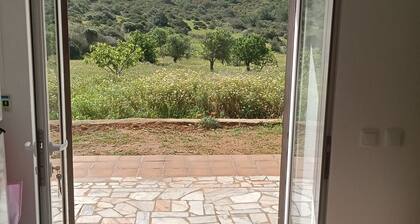 A country house near the beach - a place of pure peace, harmony and silence.