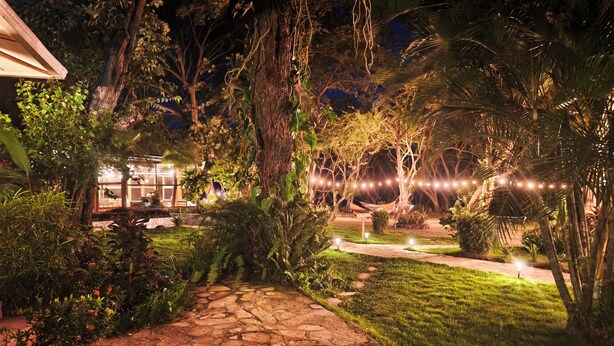 Un sendero de piedra que conduce a un edificio con luces colgantes, rodeado de vegetación exuberante y palmeras.
